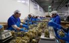 La industria agroalimentaria reclama una nueva convocatoria de ayudas