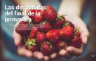 Ya está disponible El Diario DN+, nuestro adelanto para suscriptores, en móvil y tablet. Descárgate la aplicación móvil en http://onelink.to/dnplusmovil y la aplicación Tablet en http://onelink.to/dntablet.