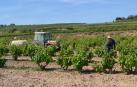 El Paisaje del Viñedo DO Rioja no será Patrimonio de la Humanidad