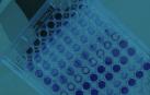 Ojer Pharma está especializada en el desarrollo de productos farmacéuticos innovadores en el área de dermatología