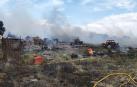 Un incendio causa destrozos en una caseta y un pinar en Tudela