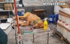 Un perro, tras ser intervenido en la clínica veterinaria clandestina en la Ultzama.