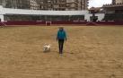 La plaza de toros de Estella vive su primer día convertida en pipican