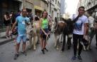 Fotos de la Undécima carrera sobre burros de Tafalla