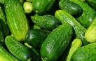 Una empresa de Granada vendía como "bio" toneladas de pepino convencional