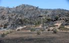 Aspecto de una zona afectada por el incendio de la Ribera d'Ebre.
