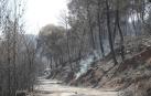 El incendio de Tarragona está "perimetrado y camino de estabilizarse"