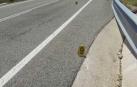 El motorista fallecido en un accidente de tráfico en Navascués es un pamplonés de 42 años