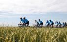 El Tour promete tres semanas emocionantes, con final decisivo en los Alpes