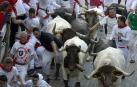 Polémicos 'bravos' mansos