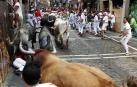 'Rabanero' siembra de cornadas la carrera de Miura tras caer y correr solo desde Mercaderes