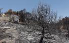 El incendio declarado en el término municipal alicantino de Beneixama ha quedado estabilizado tras quemar entre 850 y 900 hectáreas.