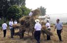 Actos, puestos y tradiciones en Miranda de Arga con motivo de la celebración del Día del Mundo Rural 2019 celebrado este domingo 21 de julio.