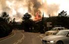 Las llamas superaron un perímetro de 50 kilómetros y unos 800 efectivos participaron en las labores de extinción del fuego.