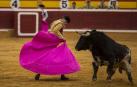 Gran novillada de Pincha en Tudela y dos generosas orejas para Orozco