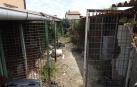 Imagen del lugar donde fueron encontrados los cadáveres de los perros.