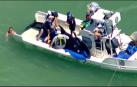 Decenas de turistas ayudan a liberar a cinco ballenas en Florida