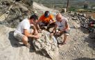 Ultiman la excavación de un espinosaurio de 120 millones de años en La Rioja