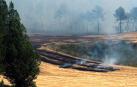 El incendio de Barchín del Hoyo (Cuenca), próximo a estabilizarse
