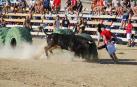 Foto genérica de la suelta de una vaquilla en El Pinós