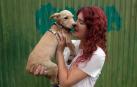 Los abandonos de perros y gatos se producen en Navarra durante todo el año, no solo en verano. Desde enero, a la Fundación Protectora de Animales de Pamplona han llegado 45 perros y 35 gatos. Estos son algunos de sus protagonistas.