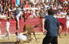 Carrera larga y sin heridos en el segundo encierro de Estella