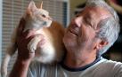 Fotos de algunos de los gatos que actualmente se encuentran en la Fundación Protectora de Animales de Pamplona, principales víctimas de la realidad del abandono y del maltrato, que generalmente se agudiza durante el mes de julio.