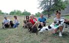 SOS desde el recinto canino de lo viejo