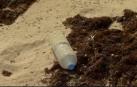 Recogida de basura en La Graciosa