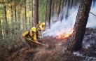 Efectivos de la BRIF de Puntagorda intervienen en las labores de extinción del incendio de Gran Canaria