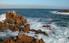 Alertan de que el mar Cantábrico vuelve a estar tan caliente como el Mediterráneo