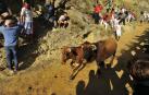 Este lunes Falces ha acogido el segundo encierro del Pilón de las fiestas de este 2019.