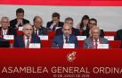 El presidente de la Federación Española de Fútbol (RFEF), Luis Rubiales (c), durante la Asamblea General Ordinaria de la Federación.