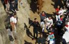Todas las fotos del encierro del día 14 de agosto de del Pilón de Falces.