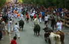 Todas las fotos del segundo día de siestas de Tafalla. 15 de agosto 2019