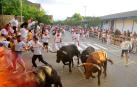 Tres heridos por contusiones en un primer encierro rápido, en fiestas de Tafalla