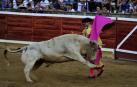 Tarde sin triunfo en Tafalla con los Prieto de la Cal por encima de la toreros
