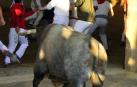 Todas las fotos de la cogida del callejón del tercer encierro de fiestas de Tafalla, en Diario de Navarra