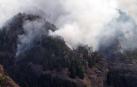 El incendio de Gran Canaria se descontrola y amenaza el parque natural de Tamadaba