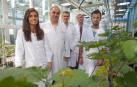 Científicos de la UN desarrollan una tecnología para fabricar nuevos fertilizantes