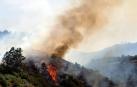 El incendio de Gran Canaria se descontrola y amenaza el parque natural de Tamadaba