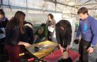 Ciencia ciudadana en el colegio