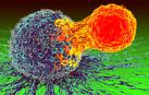 La nueva esperanza contra el cáncer