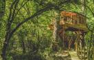 Casas en árboles en Navarra: vivir en las alturas
