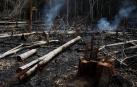 El mundo exige salvar la Amazonia, "pulmón del planeta" asfixiado en llamas