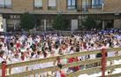 Todas las fotos del cohete de fiestas de Miranda de Arga 2019 en el Diario de Navarra