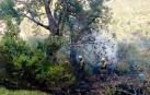 Un roble ardiendo en el incendio de la sierra de Lóquiz