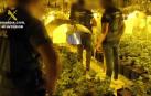 23 detenidos en una operación contra el tráfico de marihuana en Andalucía