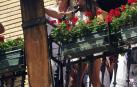 Todas las fotos del cohete de fiestas de Peralta 2019, en el que decenas de vecinos se dieron cita en la plaza de la localidad navarra para dar la bienvenida a nueve días de fiesta en honor a la Virgen de Nieva.