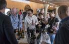 Navarra tiene 26 bodegas que hacen vino ecológico de uva de 1.200 ha de viña